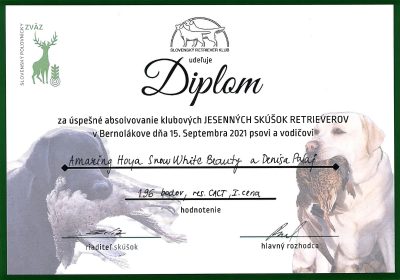 amazing_hoya_diplom