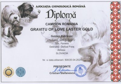 champion_ro_maja