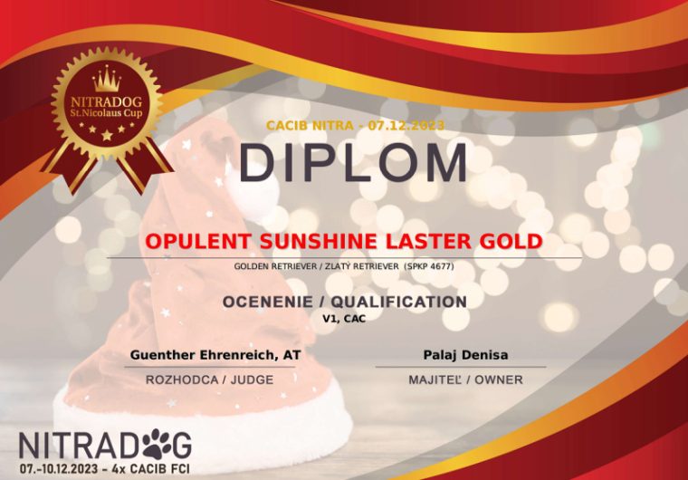 diplom