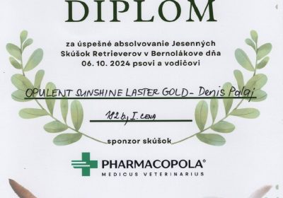 diplom