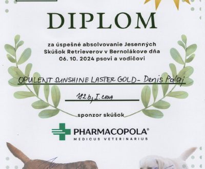 diplom