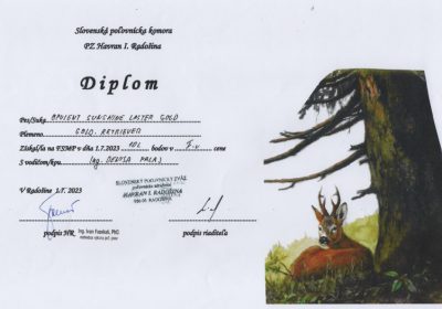 diplom_FSMP