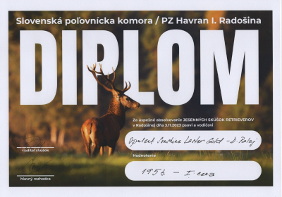 diplom_maja
