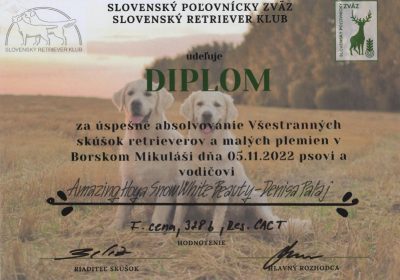 hoya_diplom_u