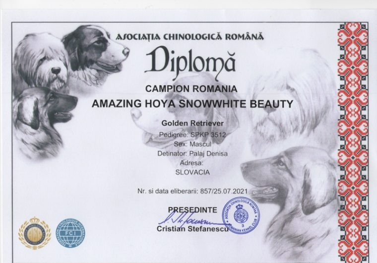 hoya_sampionat_ro