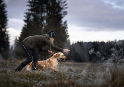 hoya_vycvik13