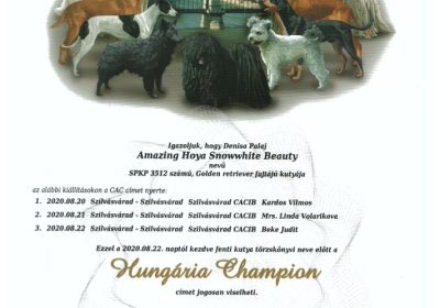 hu_champion