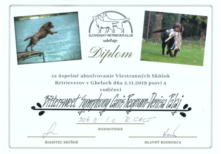 mia_vsr_diplom