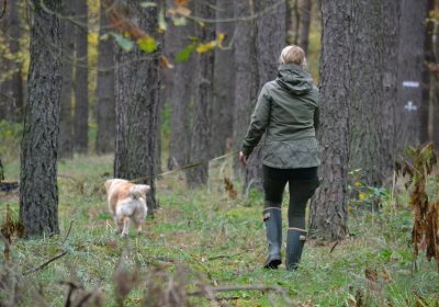 vz2
